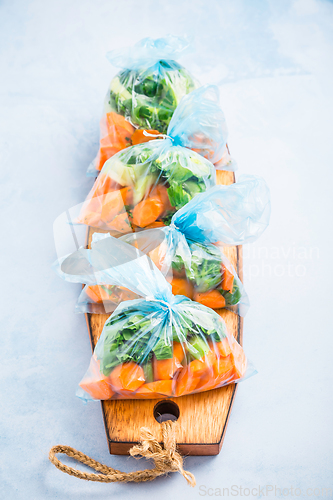 Image of Prepared vegetable bags for freezer. Frozen food, food preservat