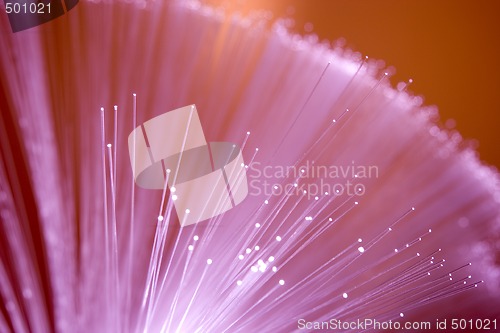 Image of Optical fibers