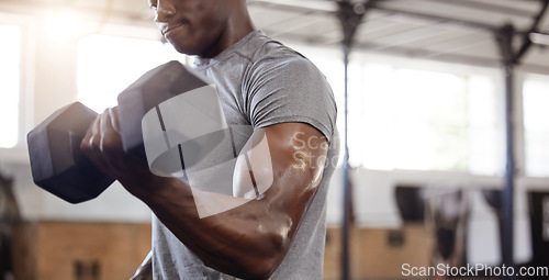 Image of Dumbbells, biceps and exercise with a black man at gym for fitness, training workout and strong muscle. African male athlete or bodybuilder with weights for power and performance at a wellness club