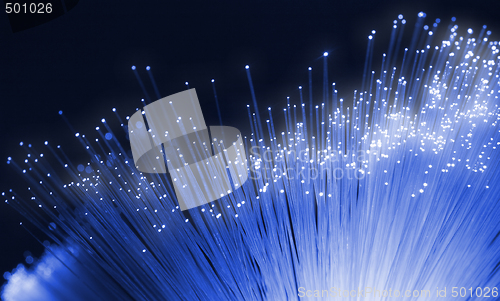 Image of Optical fibers