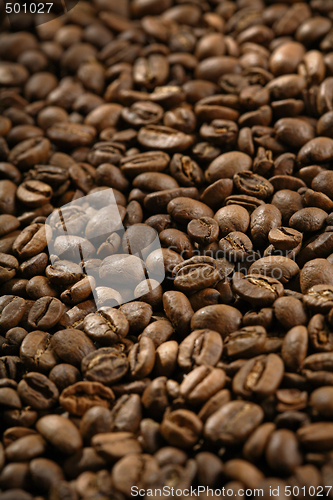 Image of Coffee beans