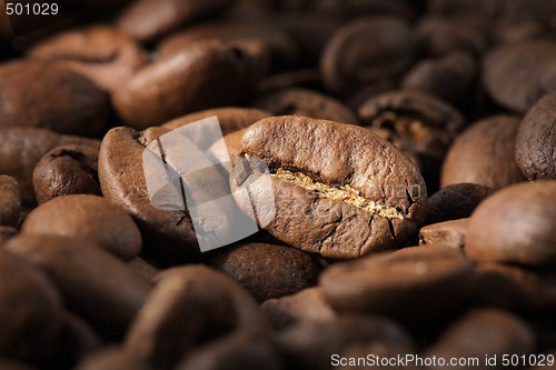 Image of Coffee beans