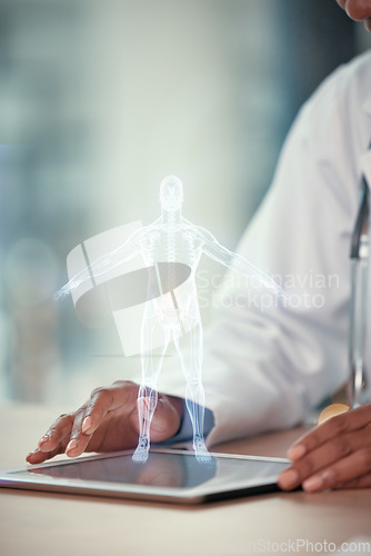 Image of Tablet, digital hologram and doctor hands for anatomy, human body and futuristic research in 3D. Technology, holographic and medical person in augmented reality for x ray, skeleton or spine solution