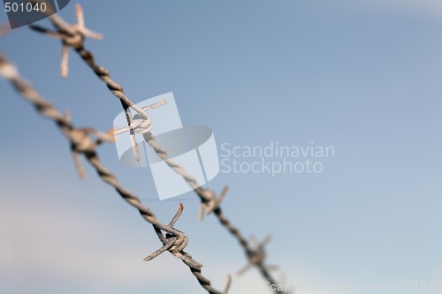 Image of Barb wire