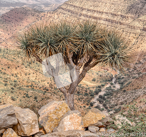 Image of Ethiopian landscape, Ethiopia, Africa wilderness