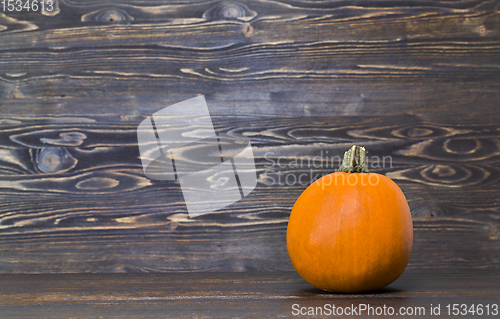 Image of single orange pumpkin