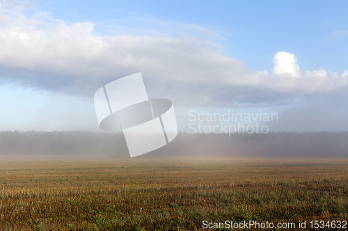 Image of autumn fog in the field