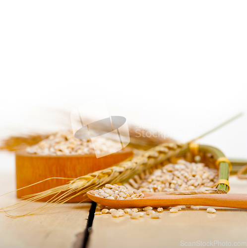 Image of organic barley grains