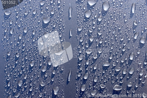 Image of Water droplets