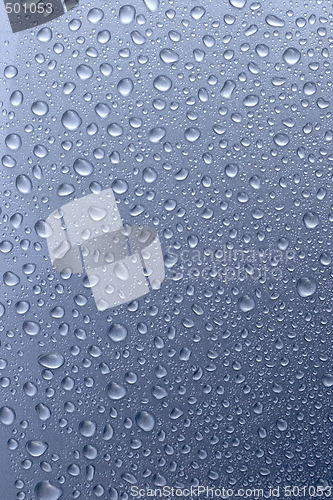 Image of Water droplets