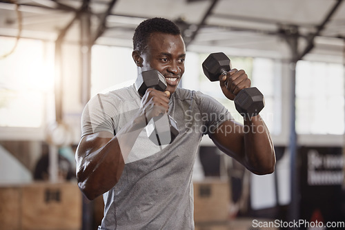 Image of Dumbbells, exercise and a happy black man at gym for fitness, training workout and strong muscle. African athlete or bodybuilder person with weights for power, biceps and focus at a wellness club