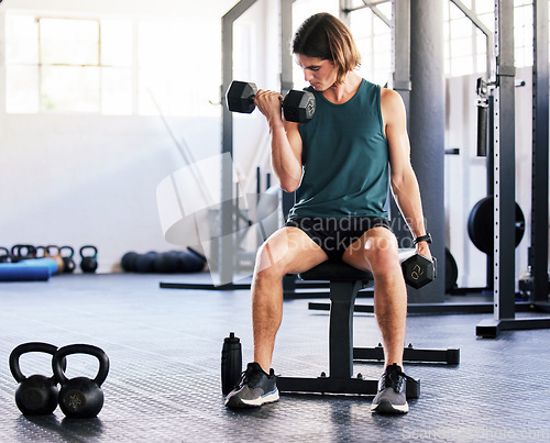 Image of Fitness, dumbbells and man exercise in gym, training and workout for muscle growth. Sports, bodybuilder and athlete weightlifting for power, health and wellness, energy and challenge for strong arms.