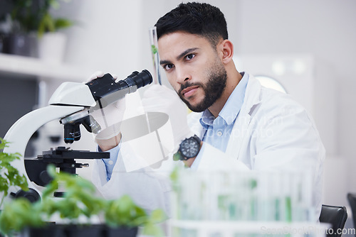 Image of Plant science, microscope and man in a lab with sustainability test tube and botany research. Leaf growth, study and male scientist with tech for agriculture development and environment analytics