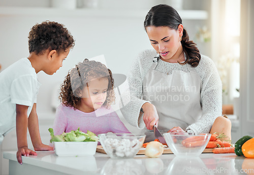 Image of Cooking, help and cutting with family in kitchen for health, nutrition and food. Diet, vegetables and dinner with mother and children with meal prep at home for wellness, organic salad and learning