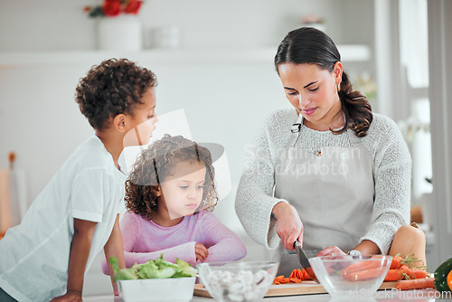 Image of Cooking, food and cutting with family in kitchen for health, nutrition and support. Diet, vegetables and dinner with mother and children with meal prep at home for wellness, salad and learning