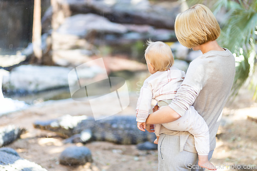 Image of Caucasian blonde mother holding her infant baby boy child in her lap watching crocodile in zoo. Happy family having fun with animals safari park on warm summer day