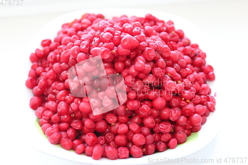 Image of red schizandra isolated