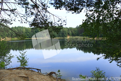 Image of lake in the forest