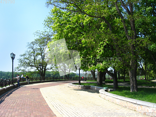 Image of Beautiful park with green trees