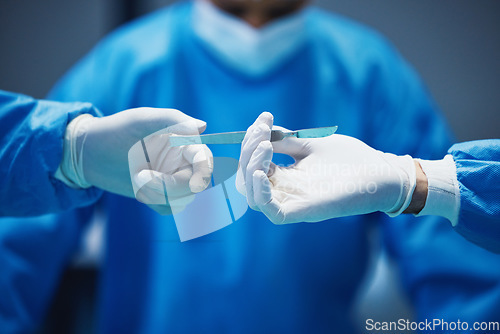 Image of Surgery, nurse hands doctor scalpel with medicine and surgical procedure, closeup and healthcare in hospital. Health insurance, medical tools and help with surgeon people in operating room at clinic