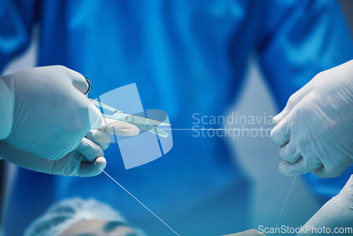 Image of Surgery, hands and doctor cutting thread, stitching patient and surgical procedure with health insurance. People in medicine, surgeon with scissors and medical tools with collaboration in hospital