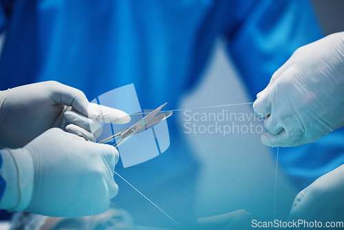 Image of Surgery, hands and doctor cut thread, stitching patient and surgical procedure with health insurance. People in medicine, surgeon with scissors and medical tools with collaboration in hospital