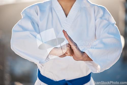 Image of Sport, fitness and fighting with a karate man in gi, training in the city on a blurred background. Exercise, discipline or respect with a male athlete during a self defense workout for health closeup