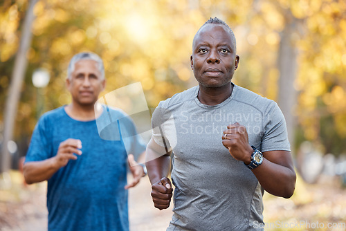 Image of Race, friends and running with old men in park for fitness, workout and exercise. Wellness, retirement and marathon with senior people training in nature for motivation, sports and morning cardio