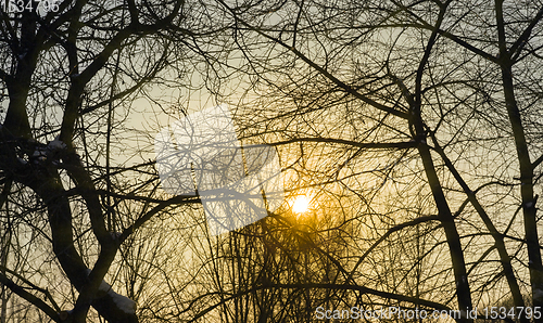 Image of winter during sunset