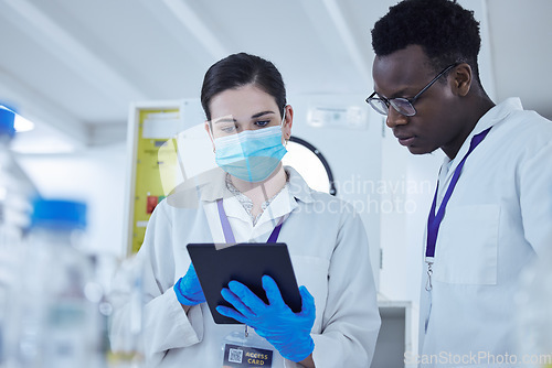 Image of Science, staff and man with woman, tablet and connection in a laboratory, virus research or medical. Coworkers, researchers or female employee with male scientist, digital planning and data analytics