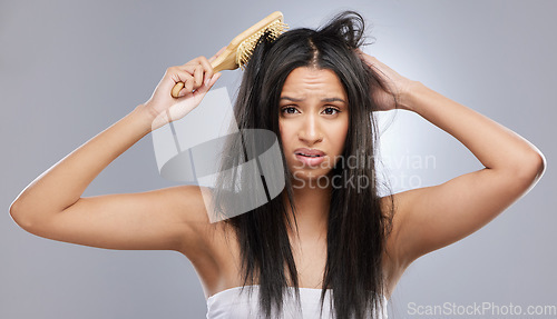 Image of Hair care, brush and portrait of woman with mess in studio for split ends, haircare crisis and weak tips. Beauty, hairdresser and face of worried female person with knot problem on gray background