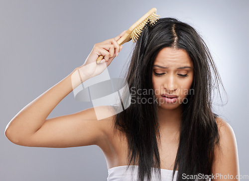 Image of Hair, knot and woman with brush in studio with worry for split ends, haircare crisis and messy style. Beauty, hairdresser and female person with frizz, texture and tangle problem on gray background