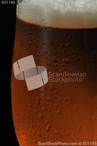 Image of Dark Beer