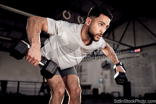 Image of Fitness, dumbbells and man exercise at gym for training workout with focus. Serious male athlete or bodybuilder with weights for strong muscle, power or motivation for hard work and bent over row