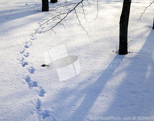 Image of snow drifts