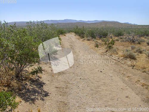 Image of Death Valley National Park