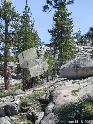 Image of Sequoia National Park