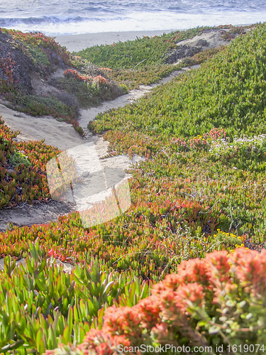 Image of idyllic coastal scenery in California