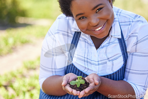 Image of Agriculture, portrait and black woman with plant in hands for planting vegetables, harvest and ecosystem. Farming, sustainability and farmer with dirt in palms for environment, growth and nature