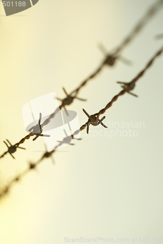 Image of Barbwire