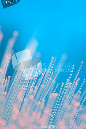 Image of Optical Fibers