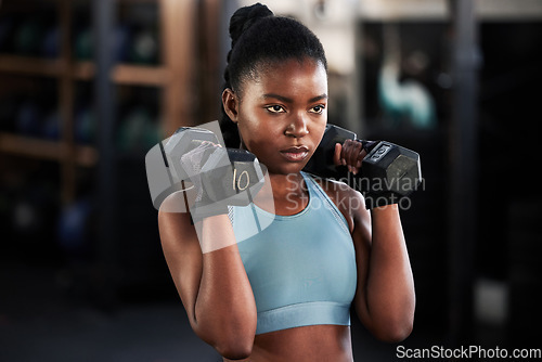 Image of Fitness, dumbbells or strong black woman training, exercise or workout for powerful arms or muscles. Wellness, health or African girl lifting weights or exercising shoulders with energy in gym studio