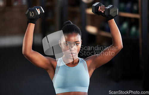 Image of Gym, dumbbells or strong black woman training, exercise or workout for powerful arms or muscles. Wellness, health or African girl lifting weights or exercising shoulders with energy in fitness studio