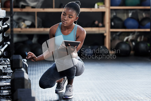 Image of Girl, inspection or personal trainer with a tablet for fitness training dumbbells or workout tools for exercise. Black woman, digital or African manager checking gym equipment, weights or inventory