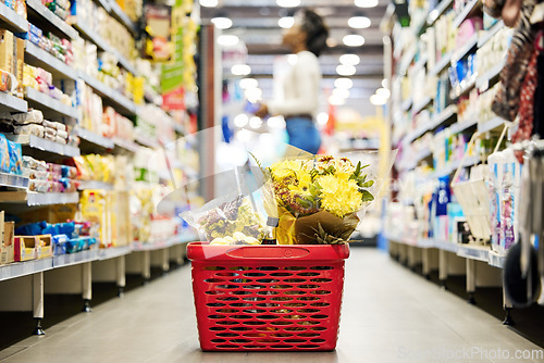 Image of Shopping basket, flowers and floor in grocery store on promotion, sale or gift with woman for customer experience. Plastic container, supermarket and mall for retail, plants and trading for choice