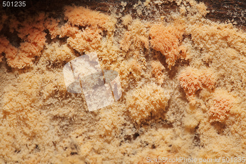 Image of Mold