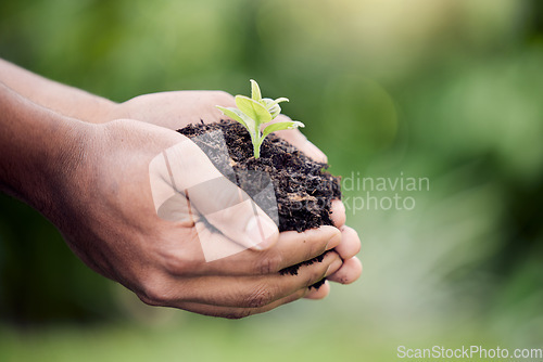 Image of Hands, plant and growth in soil for earth, environment or closeup on gardening care or working in agriculture, farming or nature. Farmer, hand and worker growing green, leaf and life in spring