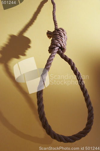 Image of Noose
