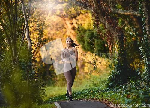 Image of Woman, fitness and running in forest for cardio exercise, workout or training in the nature outdoors. Female person, athlete or runner exercising for healthy wellness, marathon or run in the woods