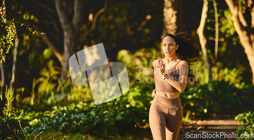 Image of Fitness, woman and running in park for cardio exercise, workout or training in the nature outdoors. Female person, athlete or runner exercising for healthy wellness, run or sports marathon in forest